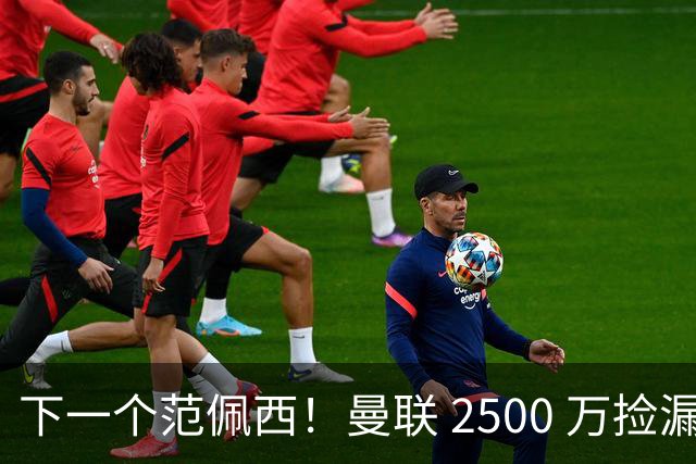下一个范佩西！曼联 2500 万捡漏顶级锋霸，碾压 7000 万新援