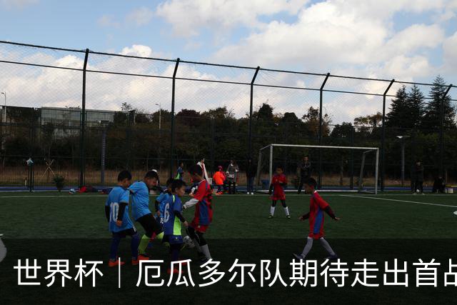 世界杯｜厄瓜多尔队期待走出首战失利阴霾