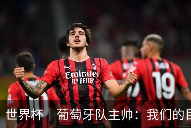 世界杯｜葡萄牙队主帅：我们的目标是打满八场比赛