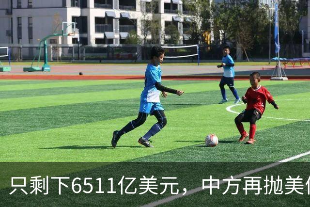 只剩下6511亿美元，中方再抛美债后离场，最大接盘国家浮出水面