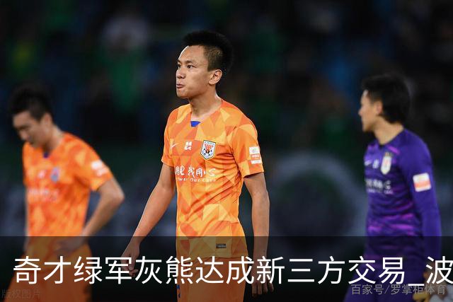 奇才绿军灰熊达成新三方交易 波神斯玛特易主