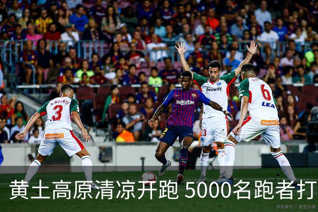 黄土高原清凉开跑 5000名跑者打卡宁夏彭阳梯田半马